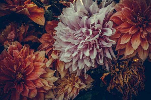 Inspirations et conseils pour choisir volets et stores en haute-savoie