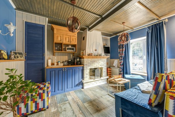 Débarrassez-vous des pigeons : depigeonnage seine et marne