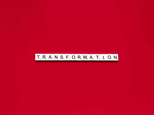 Comment rénover un toit-terrasse pour en faire un jardin suspendu?